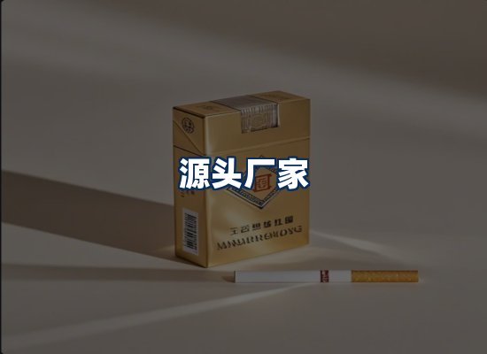 专业团队办公环境